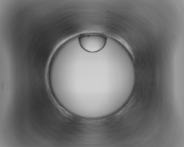 X0000111461072200907131213