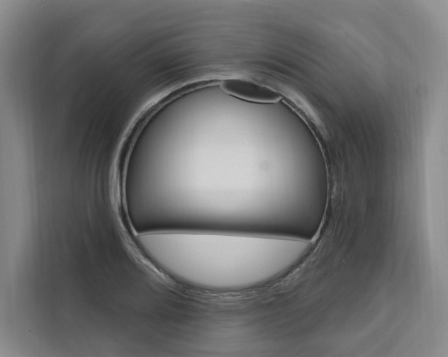 X0000111461080200907131213
