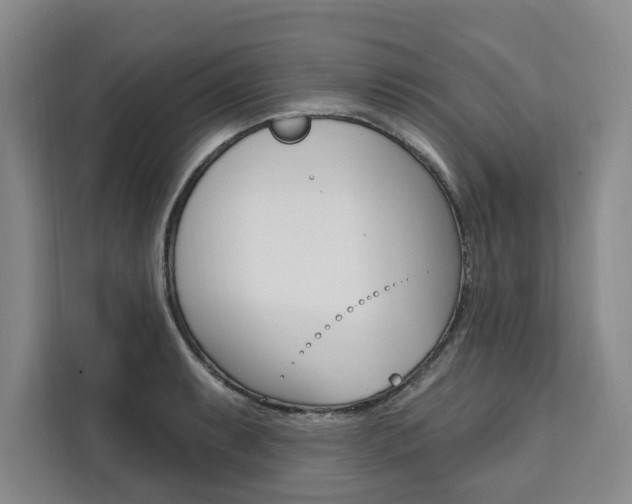 X0000111461087200907131213
