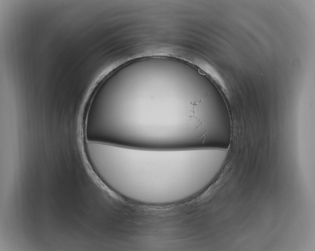 X0000111461088200907131213