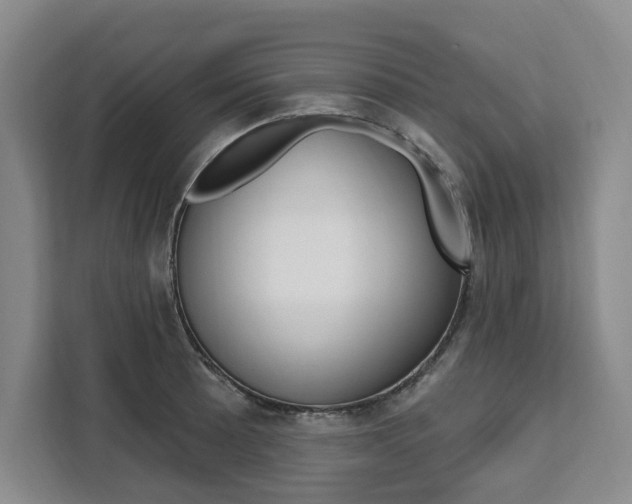 X0000111461089200907131213