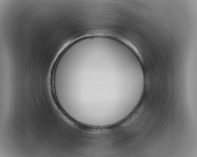 X0000111461091200907131213