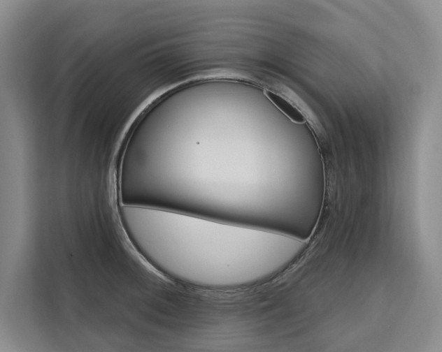 X0000111461092200907131213