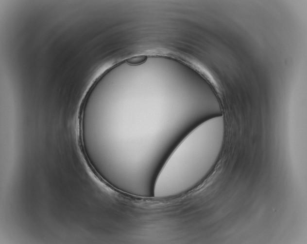 X0000111461095200907131213