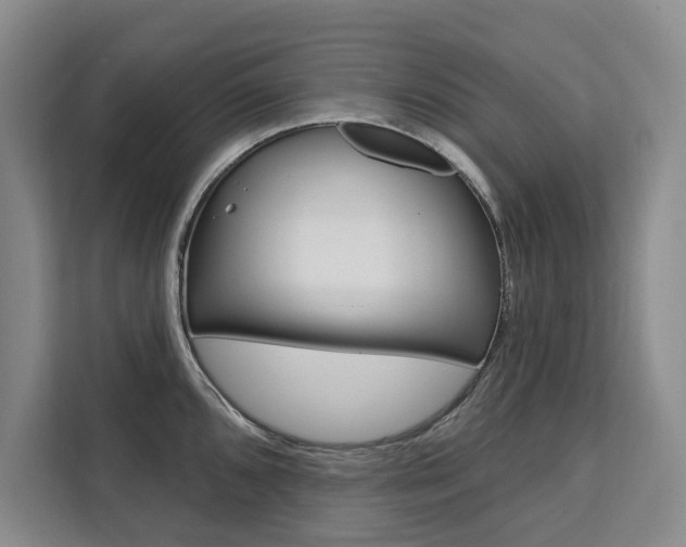 X0000111461096200907131213