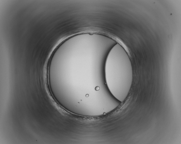 X0000111461099200907131213