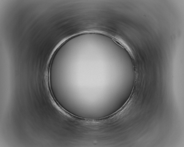 X0000111461100200907131213