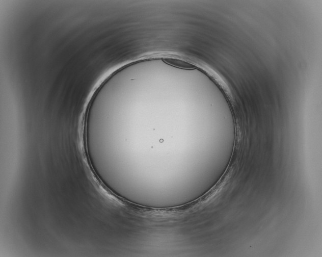 X0000111461102200907131213