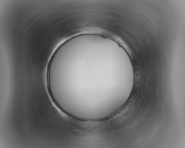 X0000111461103200907131213