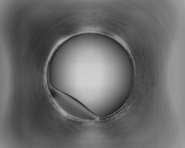 X0000111461104200907131213