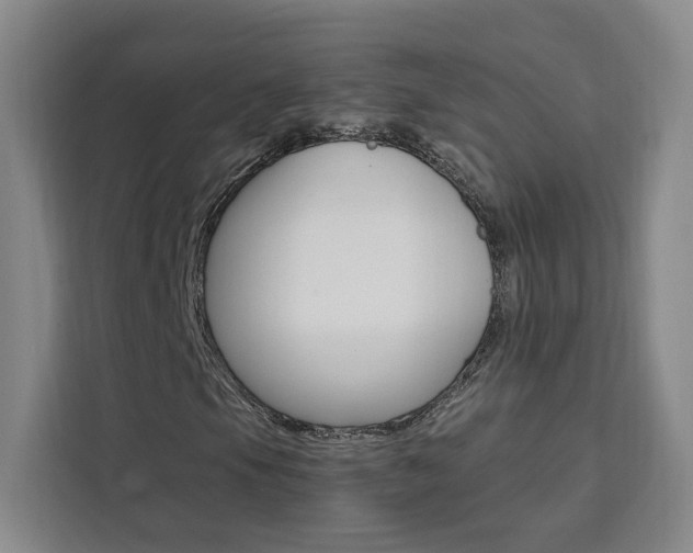 X0000111461105200907131212