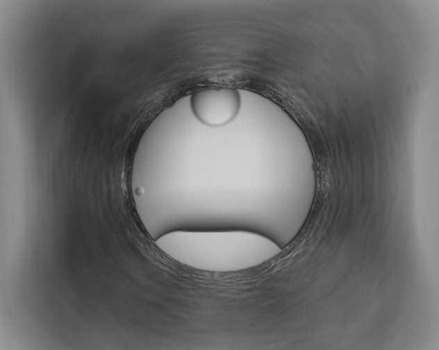 X0000111461106200907131212
