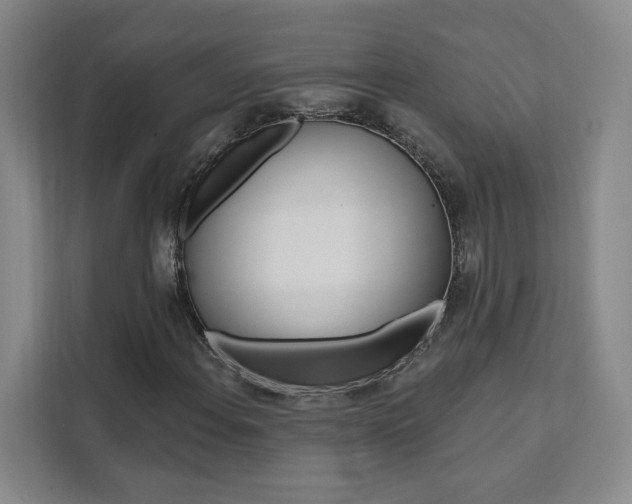 X0000111461108200907131212