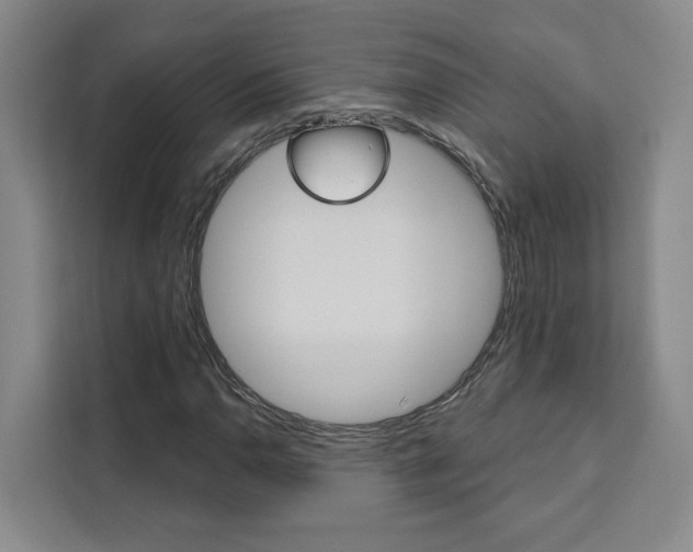 X0000111461110200907131212