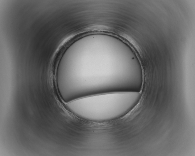 X0000111461115200907131212