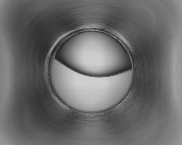 X0000111461116200907131212
