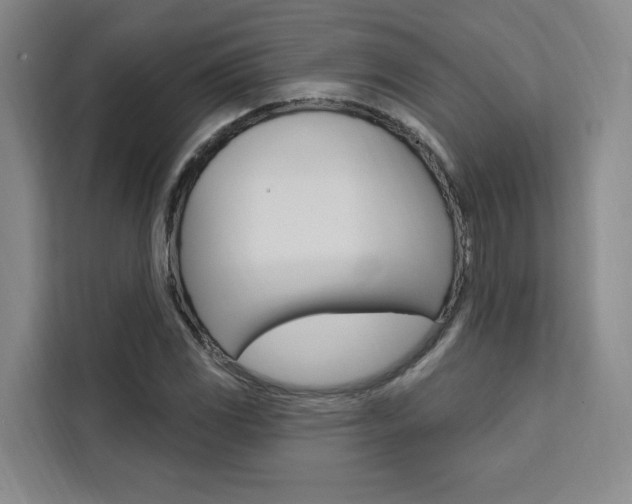 X0000111461117200907131212