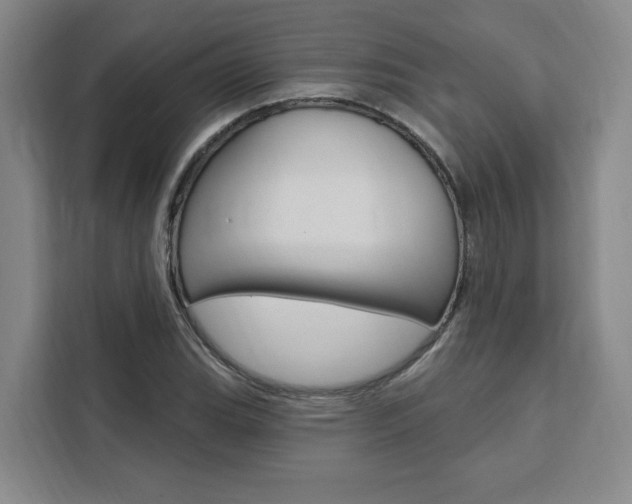 X0000111461119200907131212