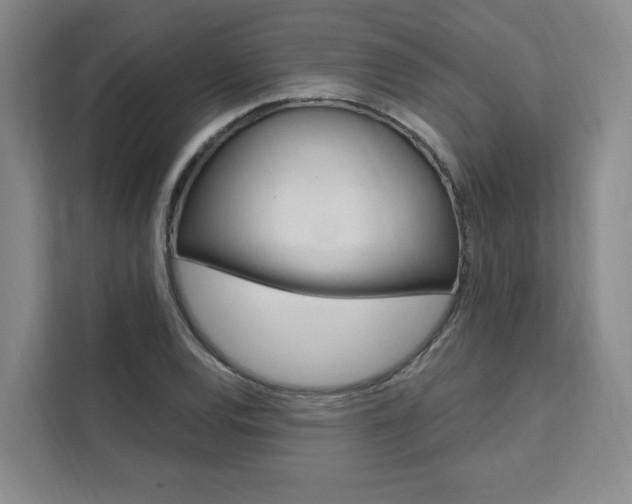 X0000111461120200907131213