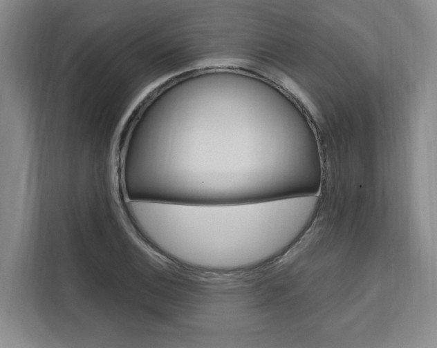 X0000111461124200907131213