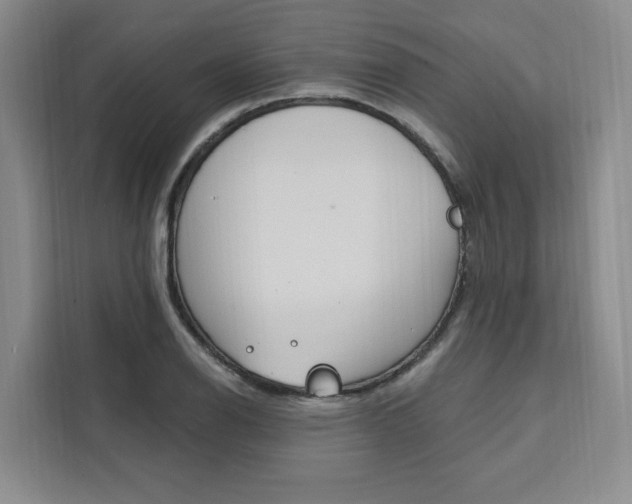 X0000111461126200907131213