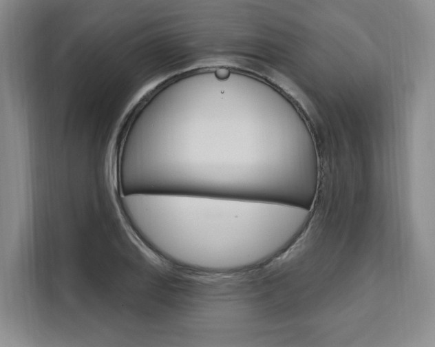 X0000111461127200907131213