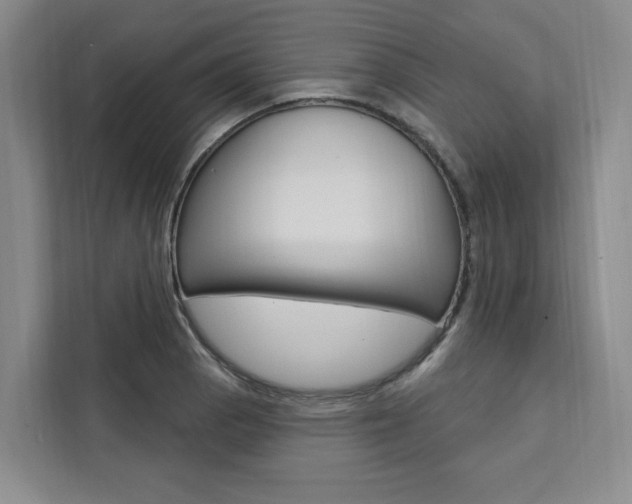 X0000111461129200907131213
