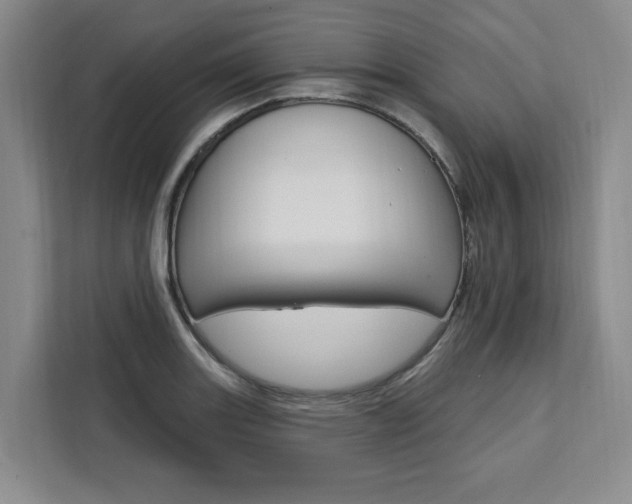 X0000111461131200907131213