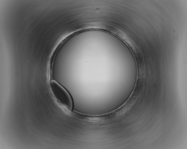 X0000111461132200907131213