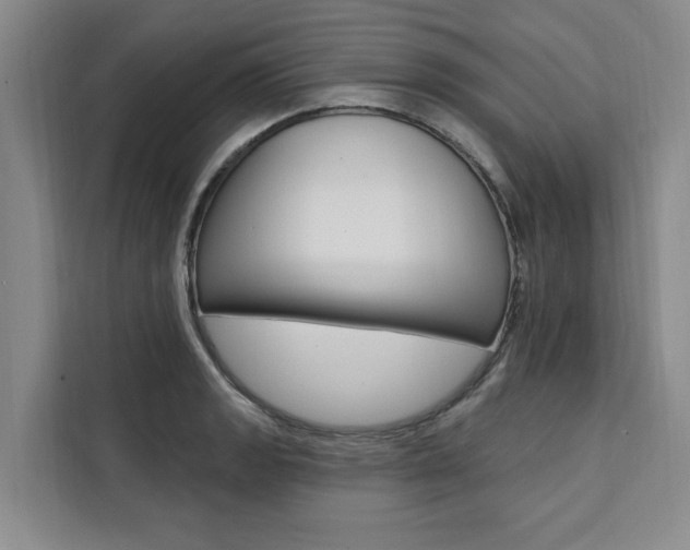 X0000111461133200907131213