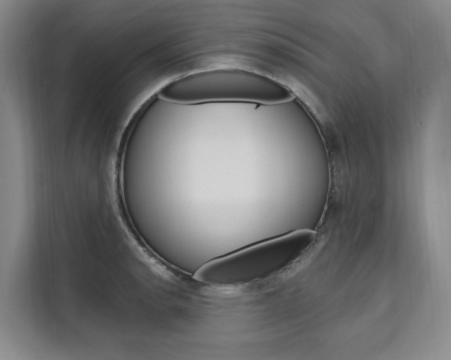X0000111461134200907131213
