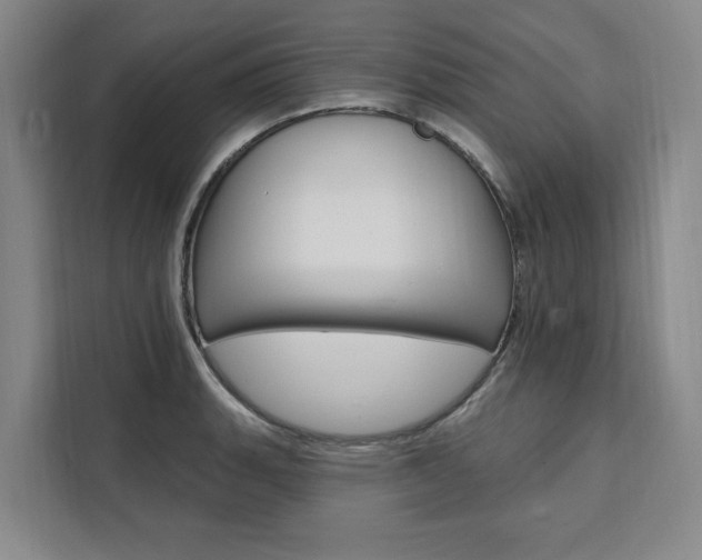 X0000111461135200907131213