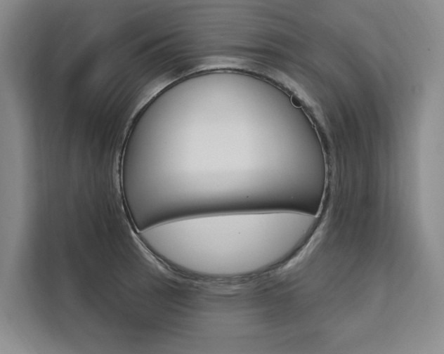 X0000111461137200907131213