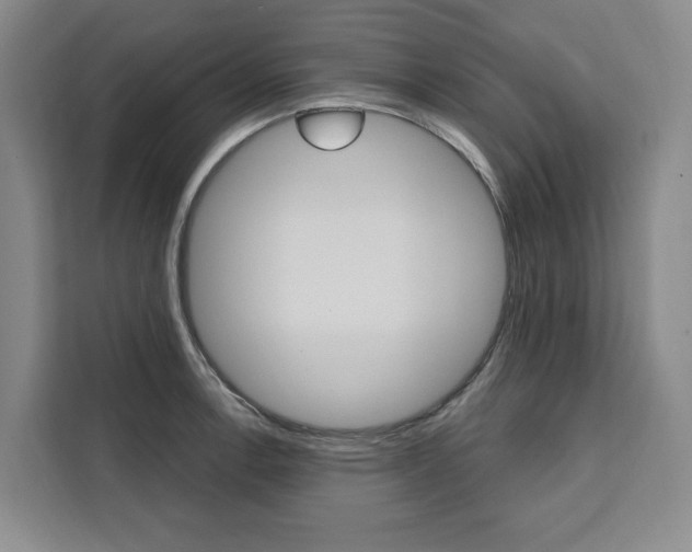 X0000111461138200907131213