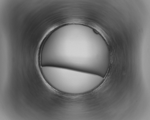 X0000111461139200907131213