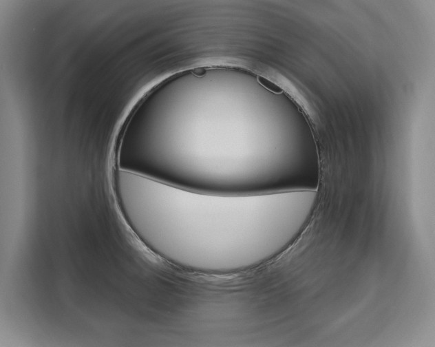 X0000111461140200907131213