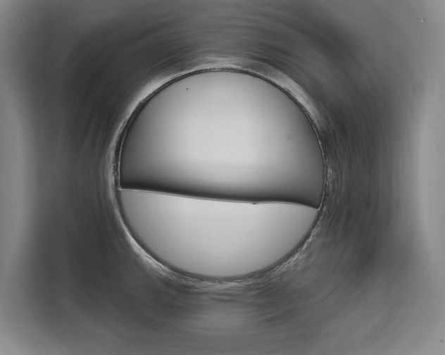 X0000111461143200907131213