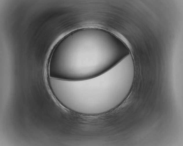 X0000111461144200907131213