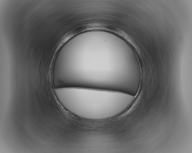 X0000111461145200907131213