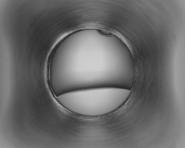 X0000111461147200907131213