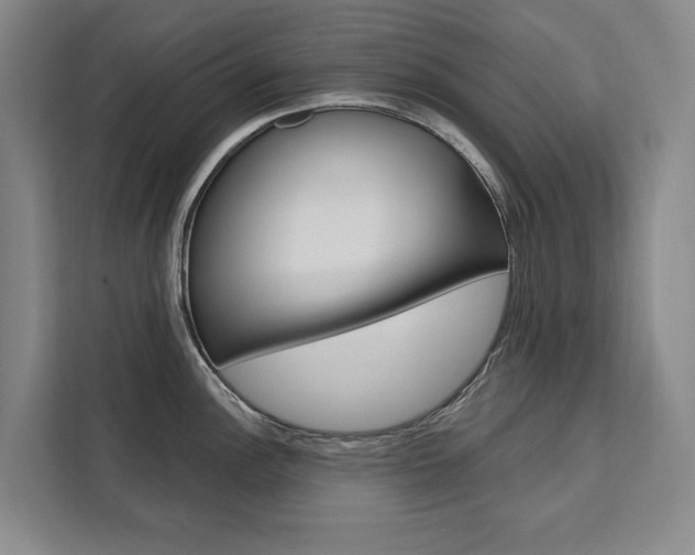 X0000111461148200907131213