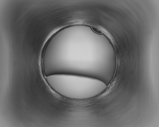X0000111461149200907131213