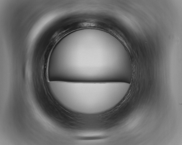 X0000111461151200907131213