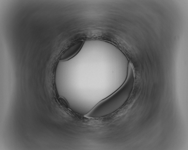 X0000111461153200907131212