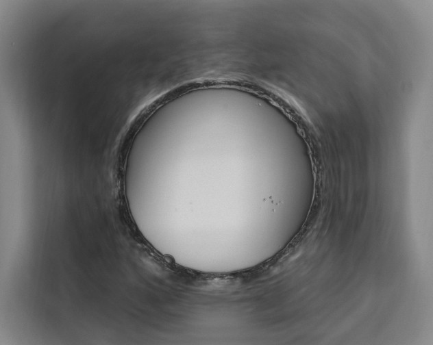 X0000111461160200907131212