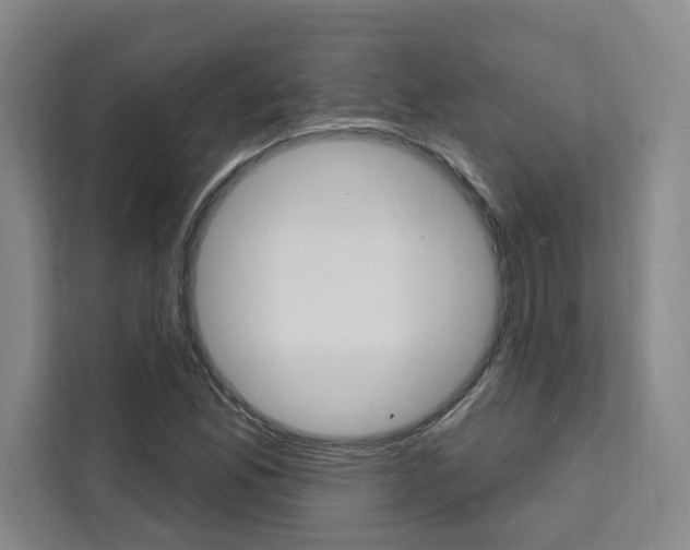 X0000111461165200907131212
