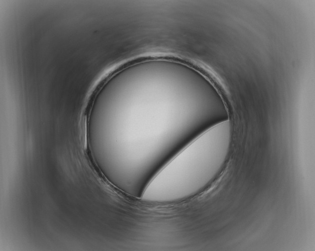 X0000111461175200907131212