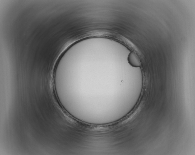 X0000111461178200907131212