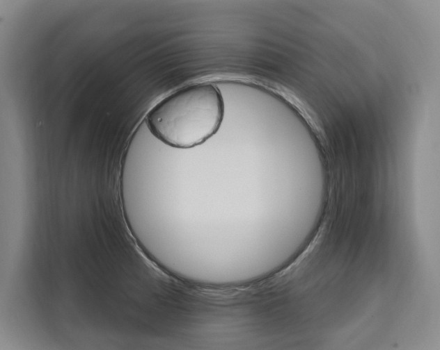 X0000111461185200907131212
