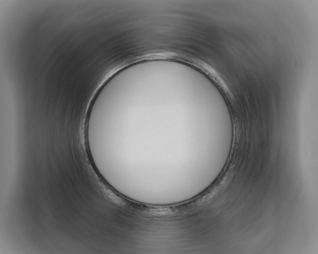 X0000111461186200907131212